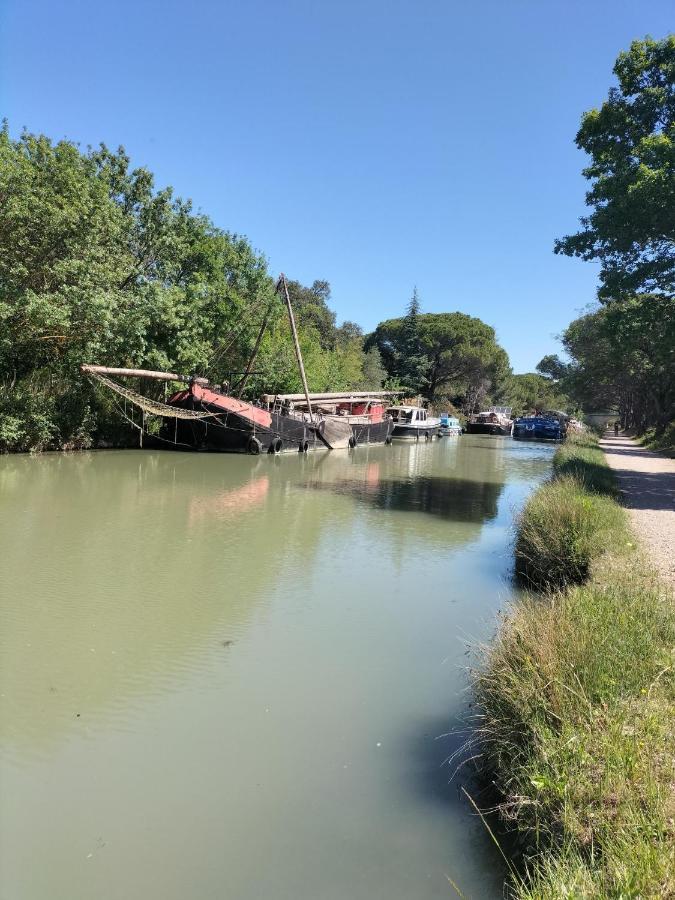 Gites A Moussan ,Domaine De La Barque A 5 Mins De Narbonne Exterior photo